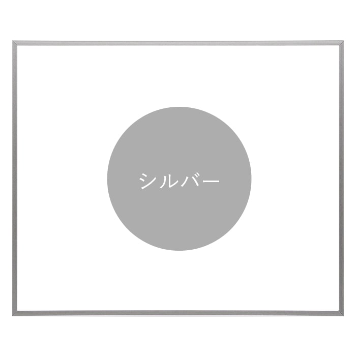 水彩額 NS002/シルバー（07-FS33） 水彩F4（333×242mm） 前面UVカットアクリル仕様 マット付き ラーソン・ジュール
