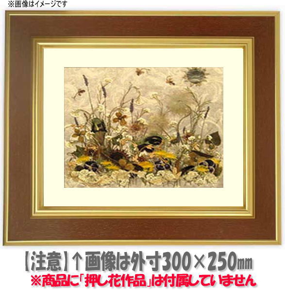 【塗装ムラ・キズあり】 押し花額縁 9583/Gブラウン 18額（180×135mm） マット付【osbn-C】 ※特殊加工品につき注文後のキャンセル・返品交換不可