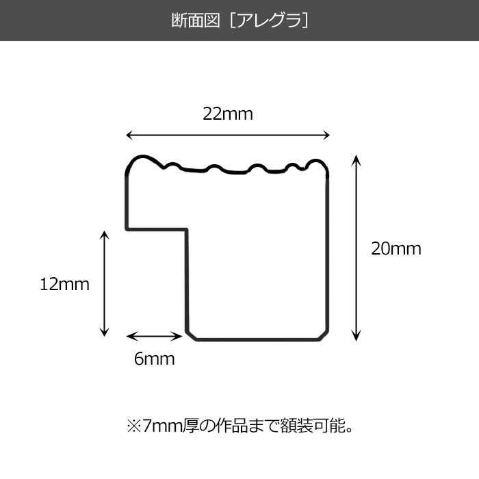 デッサン額縁 アレグラ2/ゴールド（A-226712） 大全紙（727×545mm） 前面UVカットアクリル仕様 ラーソン・ジュール
