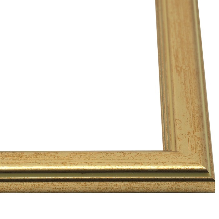 ゴールド 半切 545×424mm デッサン額縁 ゴールド 半切 545×424mm デッサン額縁
