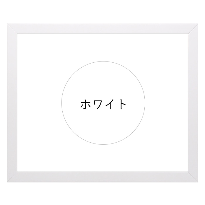 横長額縁 LJ003 600×300mm ブラック（01-1051BR）/ホワイト（01-1050WR） 前面UVカットアクリル仕様 ラーソン・ジュール