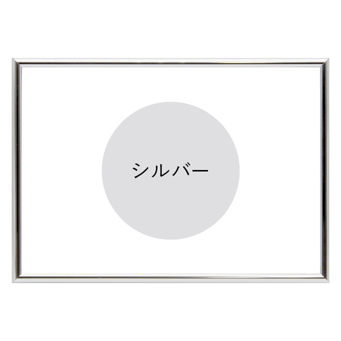 デッサン額縁 SL15/シルバー A4（297×210mm） 前面UVカットアクリル仕様