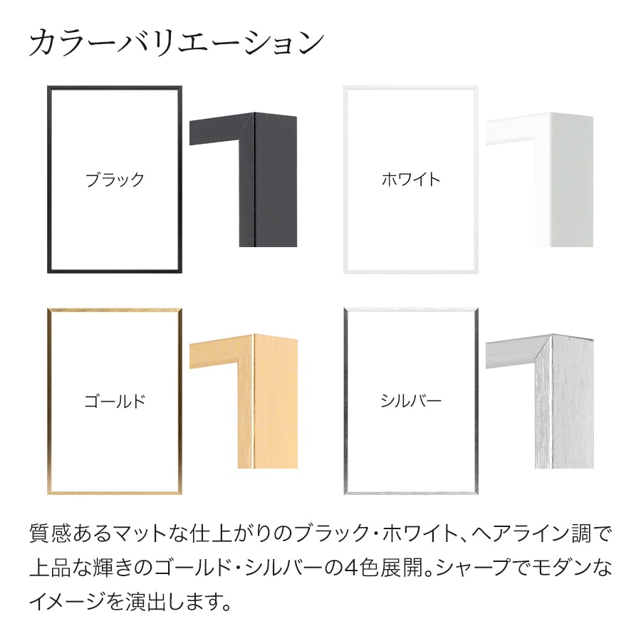 ラインフレーム 5017 A1（841×594mm） ブラック/ホワイト/ゴールド/シルバー 前面UVカットアクリル仕様 大額 ※大型商品につき注文後のキャンセル・返品交換不可 [送料別商品]