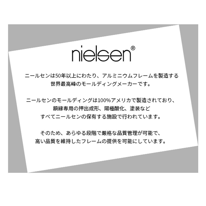 デッサン額縁 NS001/ブラック（07-BL33） 小全紙（660×509mm） 前面UVカットアクリル仕様 ラーソン・ジュール