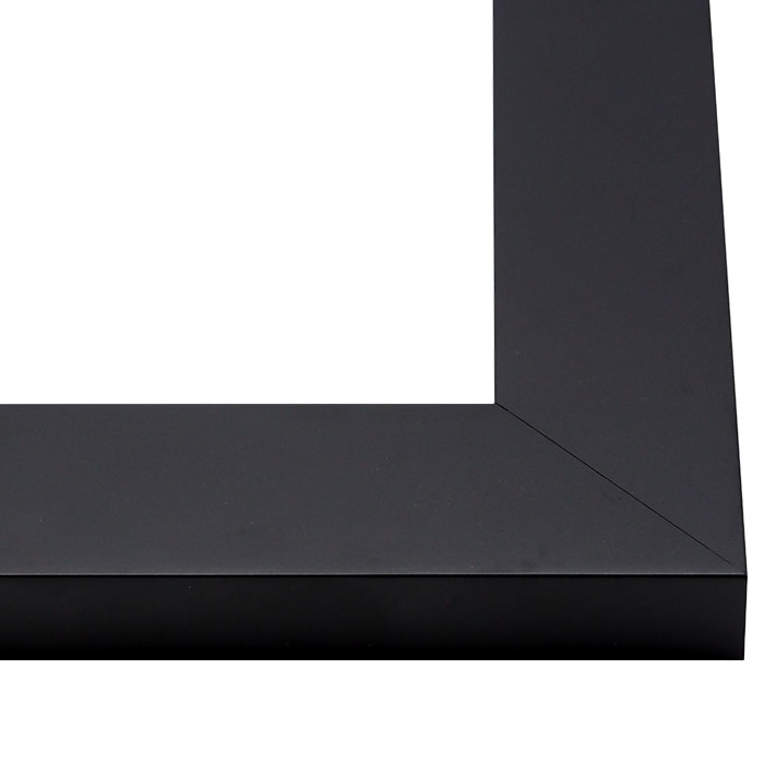 横長額縁 LJ004 500×300mm ブラック(C-1058B)/ホワイト(C-1057W) 前面UVカットアクリル仕様 ラーソン・ジュール