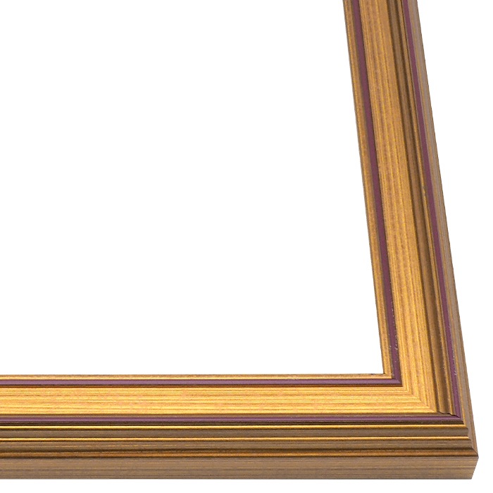 額縁のご確認作品 裾野マットなし F6号 油彩額縁 アクリル板仕様 - 額縁 - 激安通販 | 額