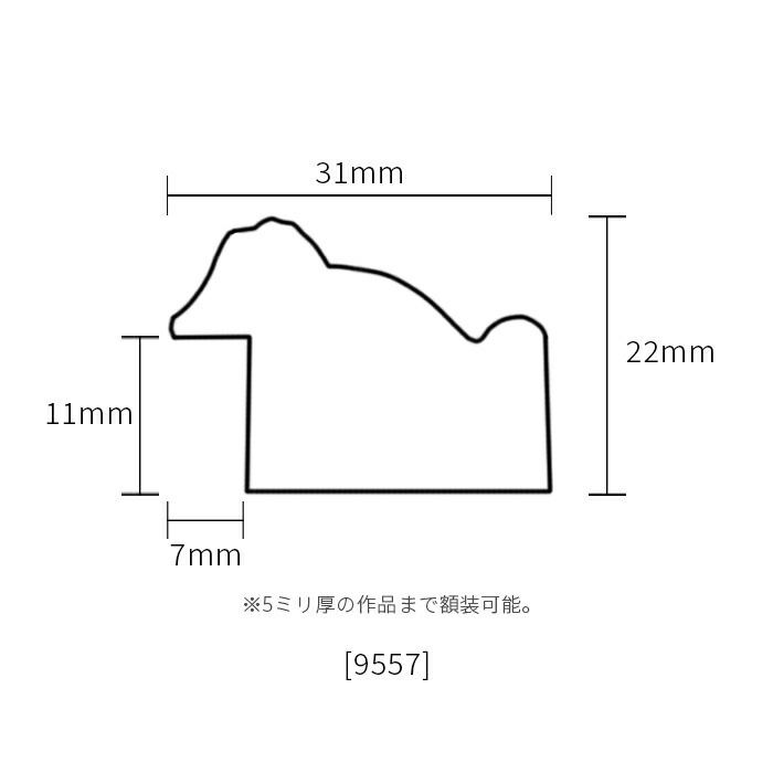 アルミ製水彩用額縁　全紙（727Ｘ546）2枚組　透明アクリル版付き 横長額縁 9557/シルバー 500×300mm 前面UVカットアクリル仕様
