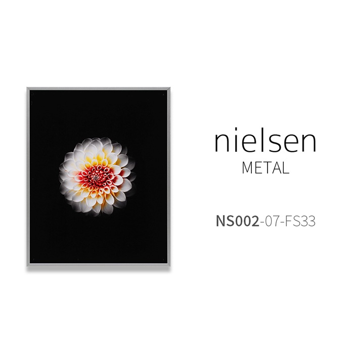 デッサン額縁 NS002/シルバー（07-FS33） 半切（545×424mm） 前面UVカットアクリル仕様 ラーソン・ジュール