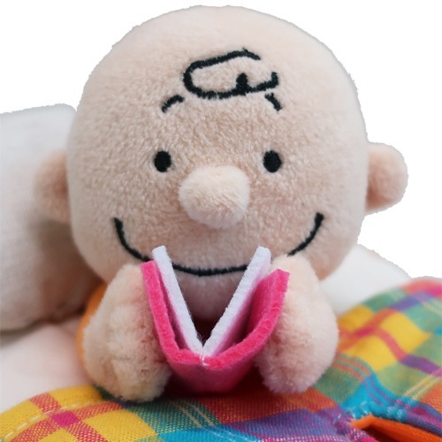 【新価格】PEANUTS スヌーピー＆チャーリー・ブラウン ベッドティッシュカバー