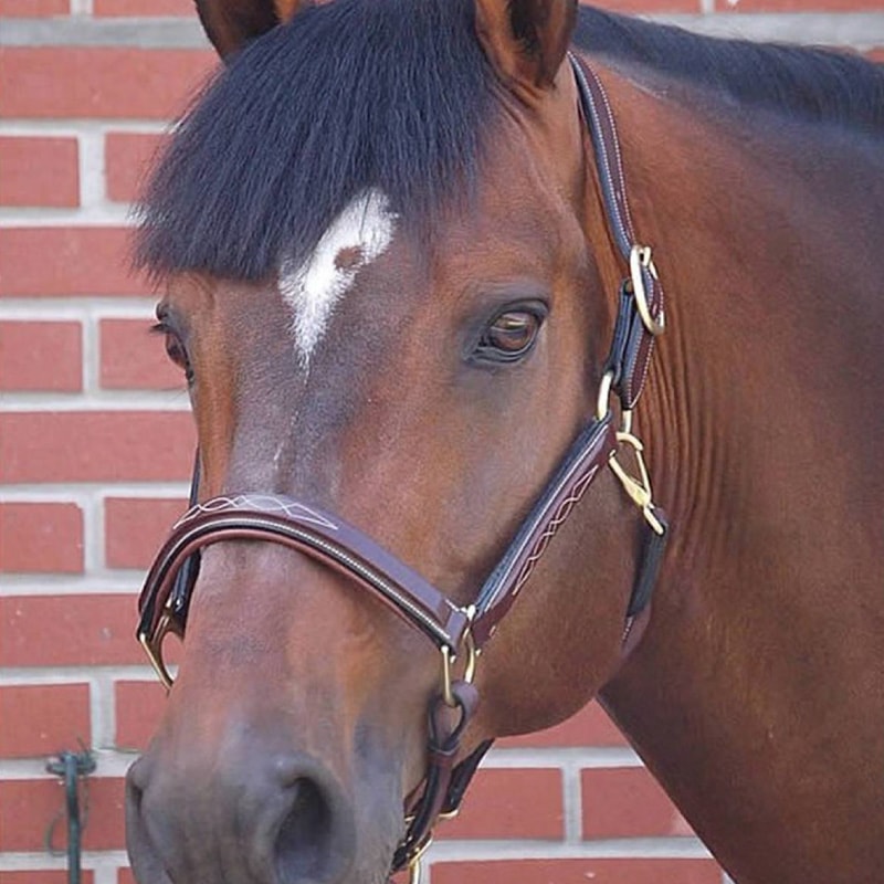 ディオン　レザーホルター B831