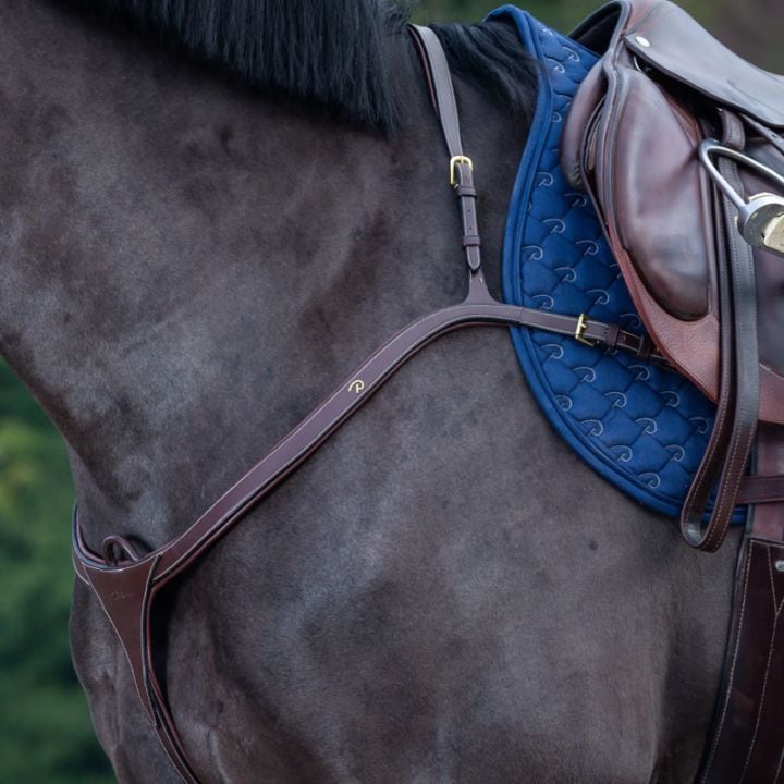 ディオン ロングブリッジ胸ガイ