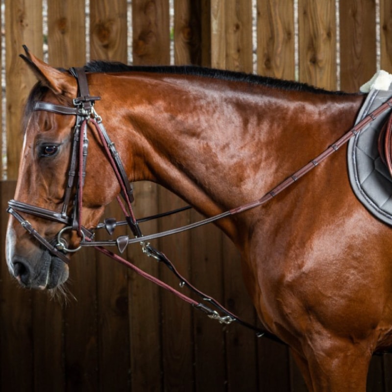 ディオン　ゴグ