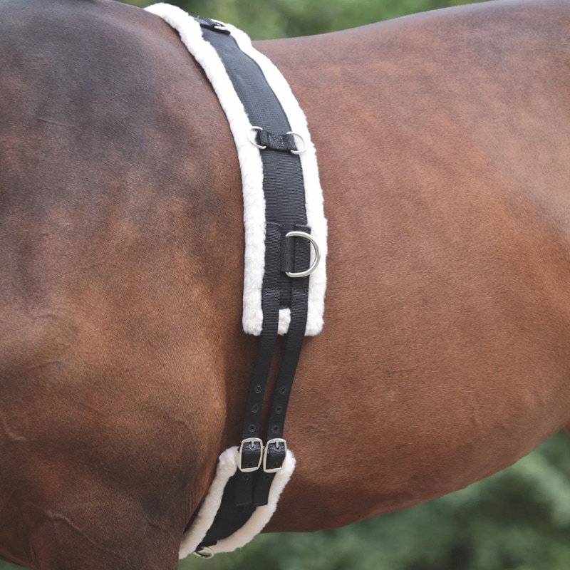 SHIRE 調教用腹帯