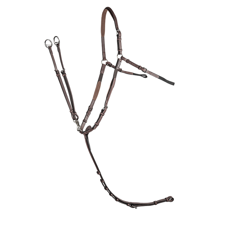 CWD 若く 胸ガイ ⁇ 