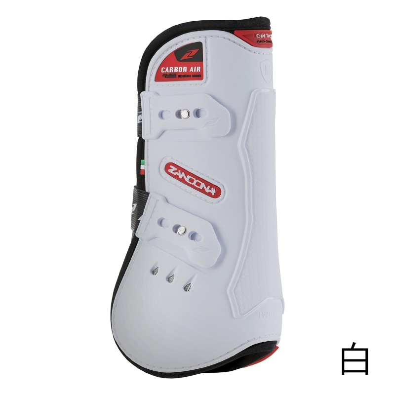 ザンドナ CARBON AIR テンドン 前肢