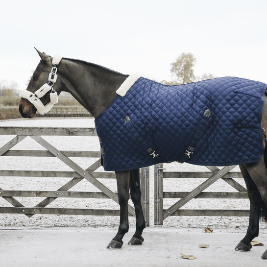 馬　ターンアウト　メッシュラグ　ネック付き　乗馬　馬着　薄馬衣　ブルー　155 馬 ターンアウト メッシュラグ ネック付き 乗馬 馬着 薄馬衣