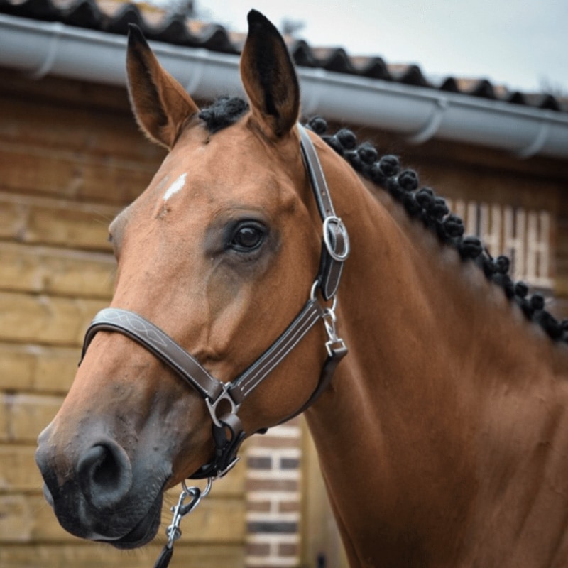 JUMPIN(ｼﾞｬﾝﾋﾟﾝ) レザーホルター Fancy