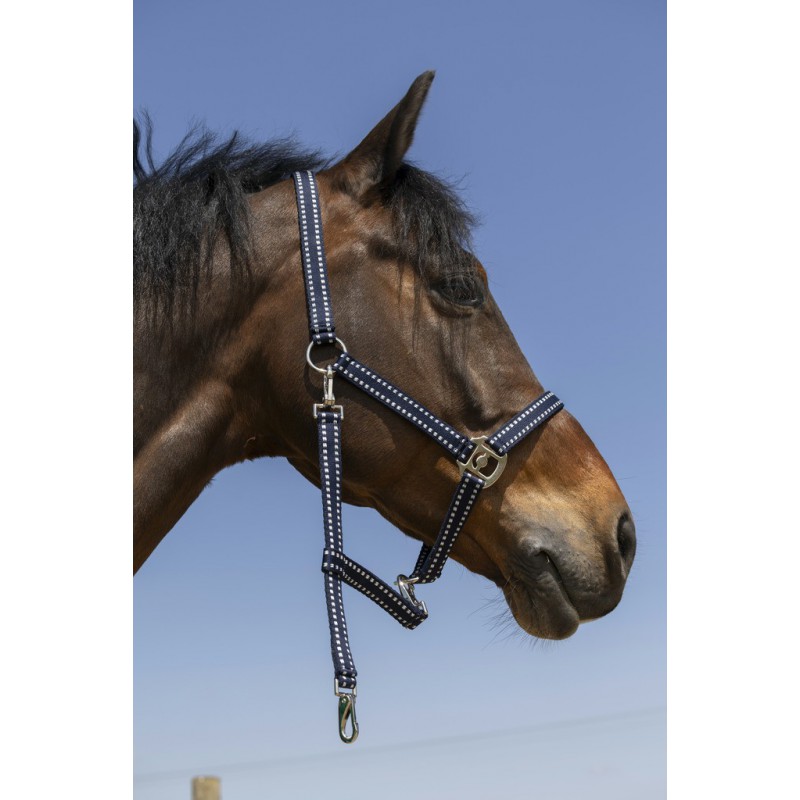 NORTONグルーミングホルター