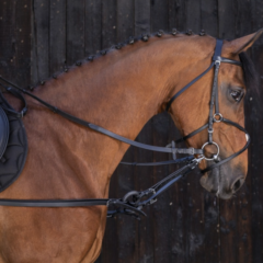 EKサイドレーン　(黒)