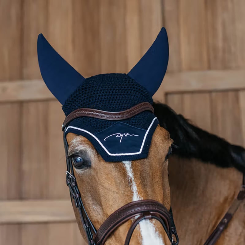 ディオン　ダイヤモンド イヤーネット