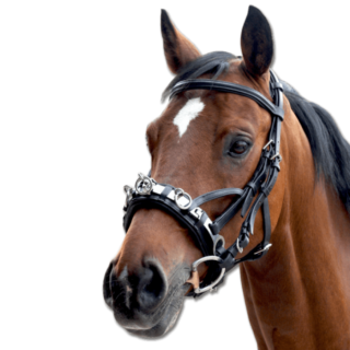 レザーカブソン