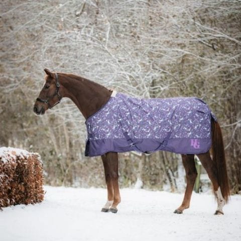 HG ポニー用 ターンアウトラグ Josh 100g