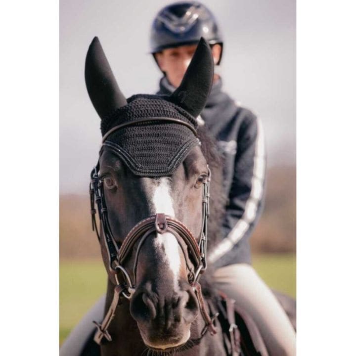 ペネロペ サウンドレスイヤーネットSTRASS