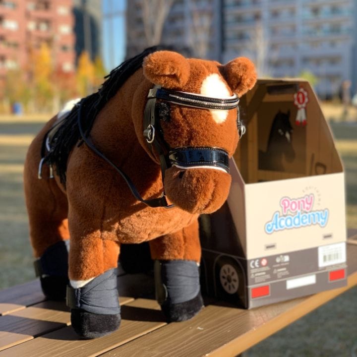 Web限定】PONY ACADEMY ミニポニーぬいぐるみ＆アクセサリーセット