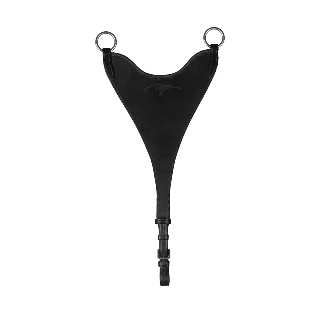 【WEB限定】ディオン　ハードビブマルタン(銀尾錠)