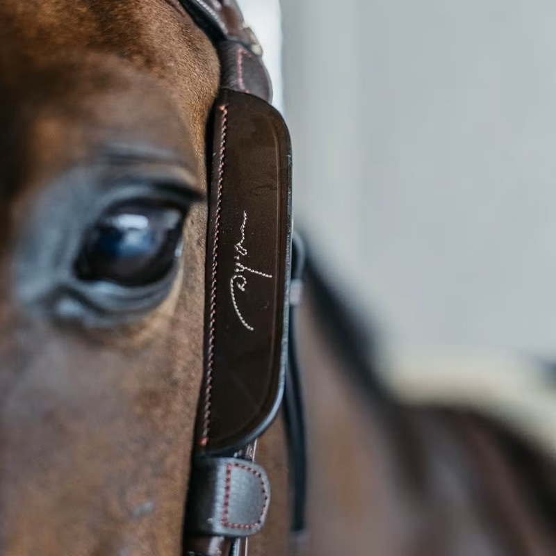 ディオン Fancy ブリンカー