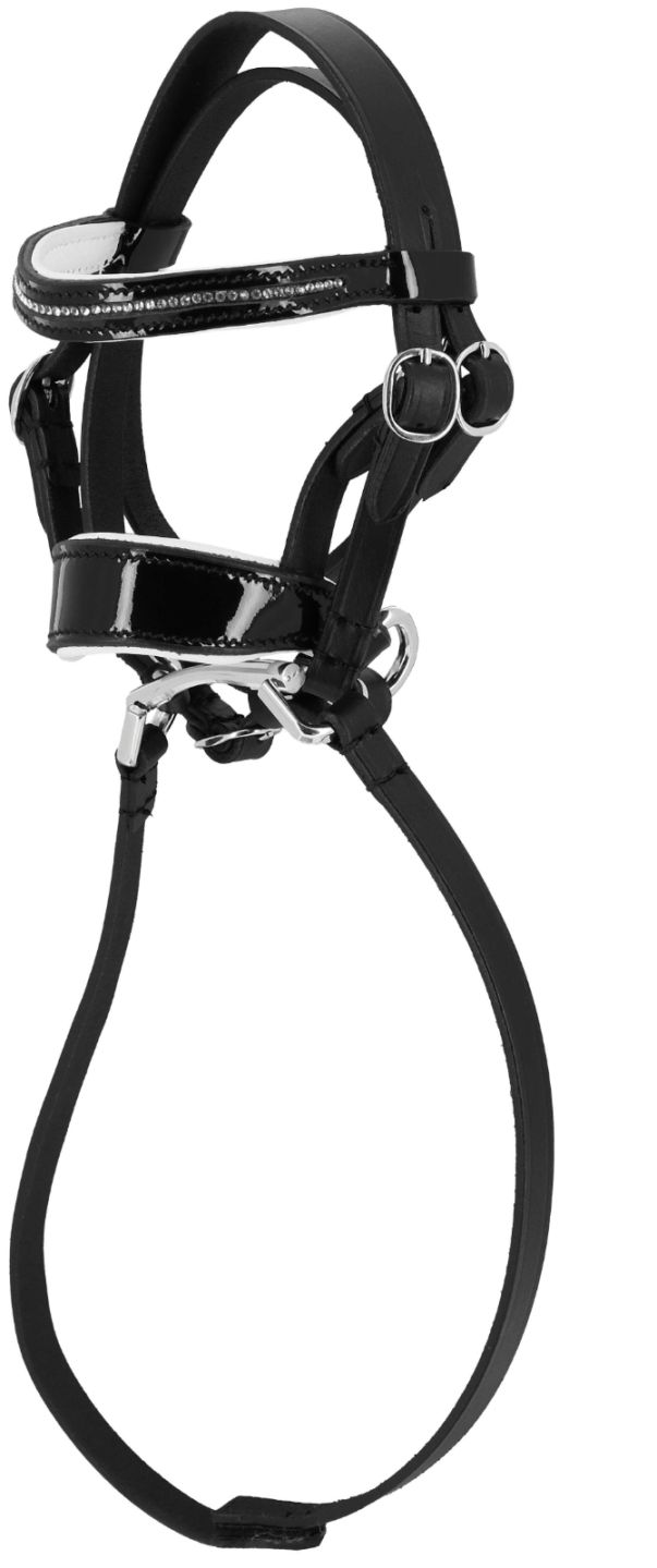 【受注発注】PONY ACADEMY　ブライドル