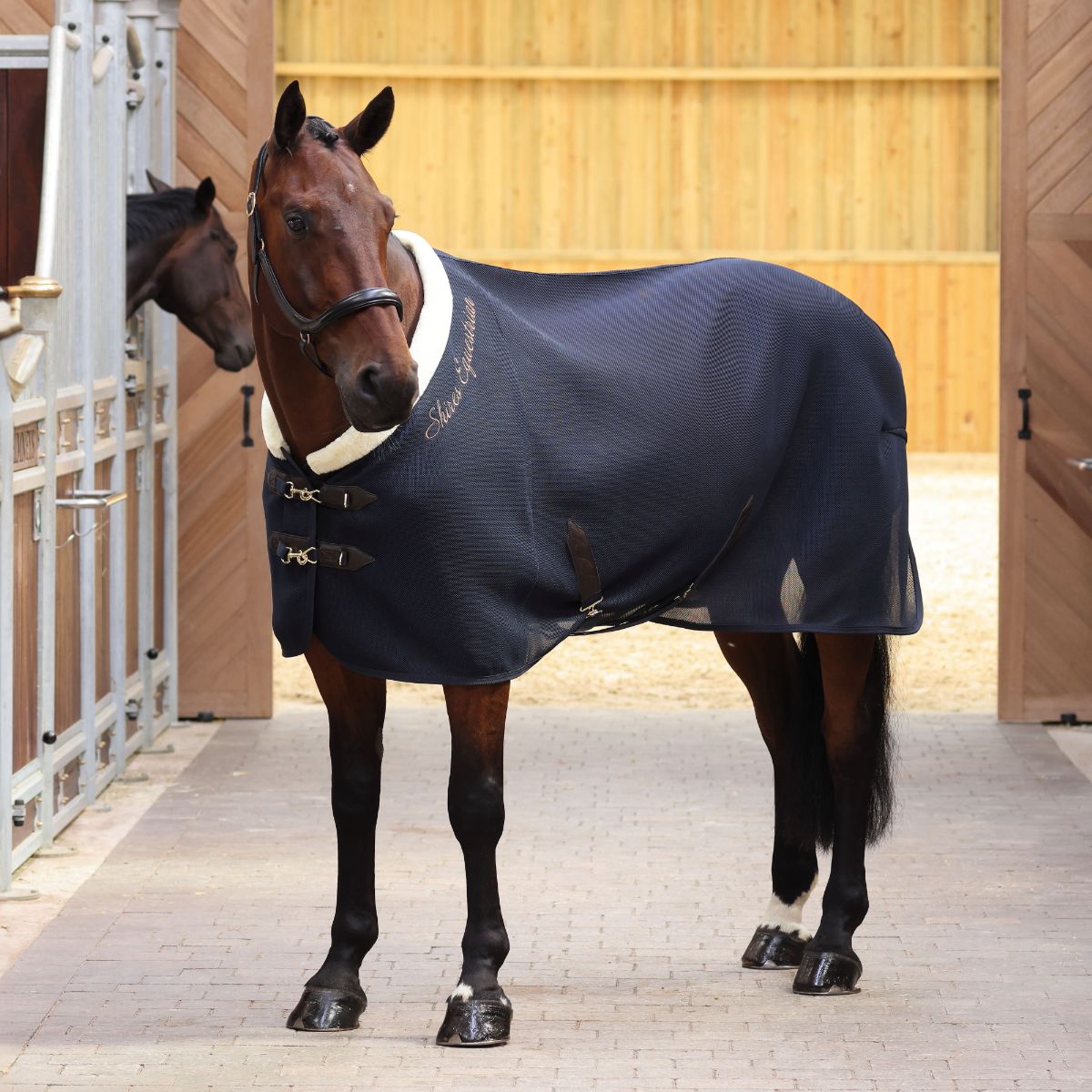 馬着（ラグ）｜乗馬用品・馬具なら中江物産通販サイト