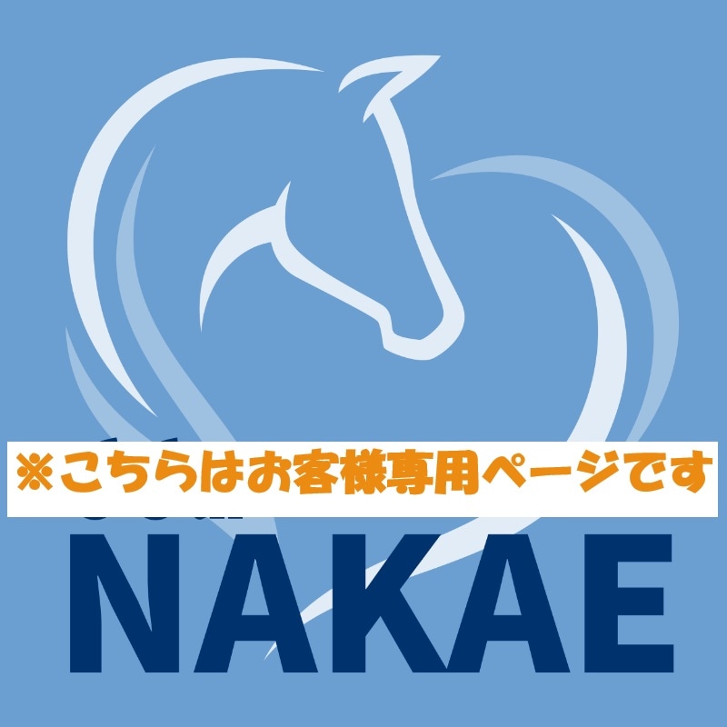 【※お客様専用ページ】  アンタレス　水勒頭絡　茶　FULL