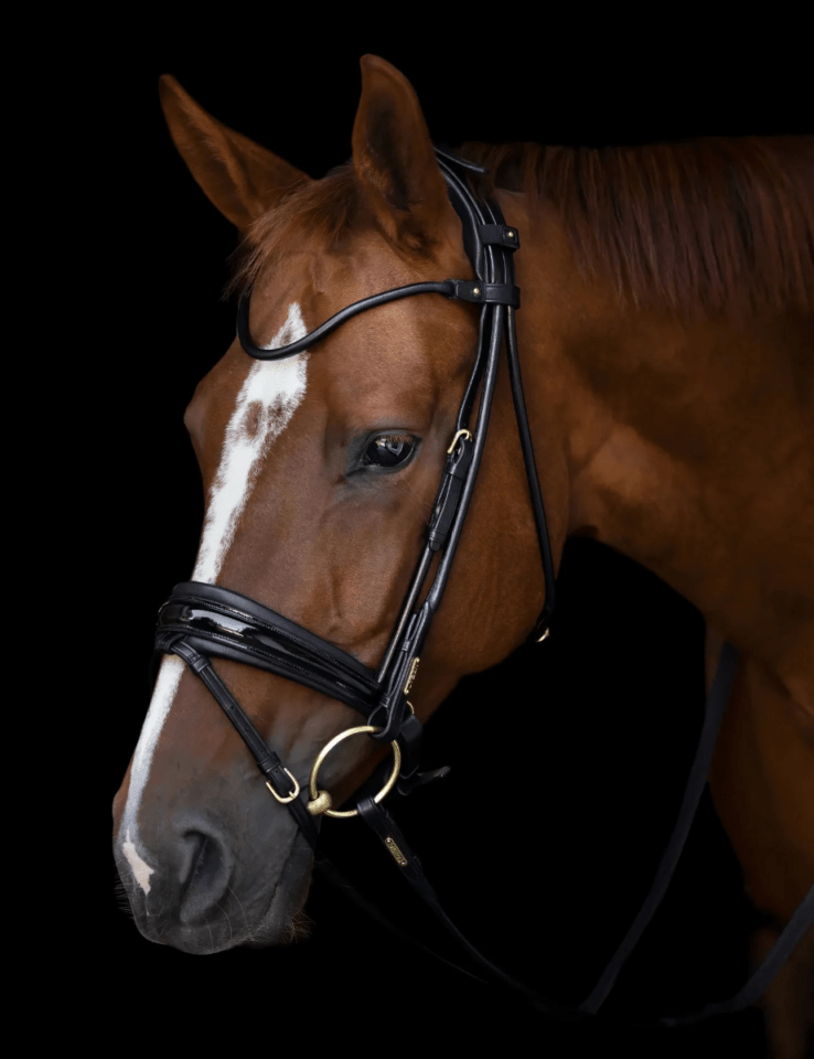 Utzon Equestrianエディンバラ水勒頭絡(丸革)