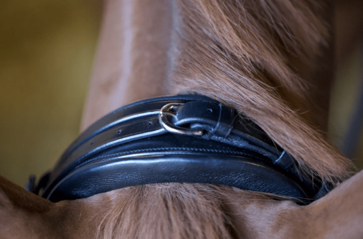 Utzon Equestrianエディンバラ水勒頭絡リミテッドエディション