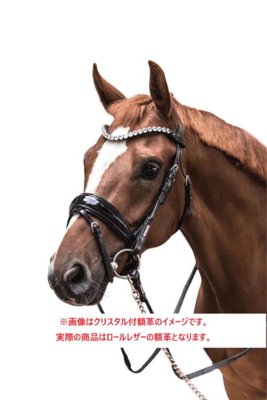 Utzon Equestrianコペンハーゲン水勒頭絡(平革)