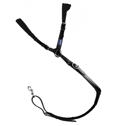 アンタレス 胸ガイ(ENR20P)