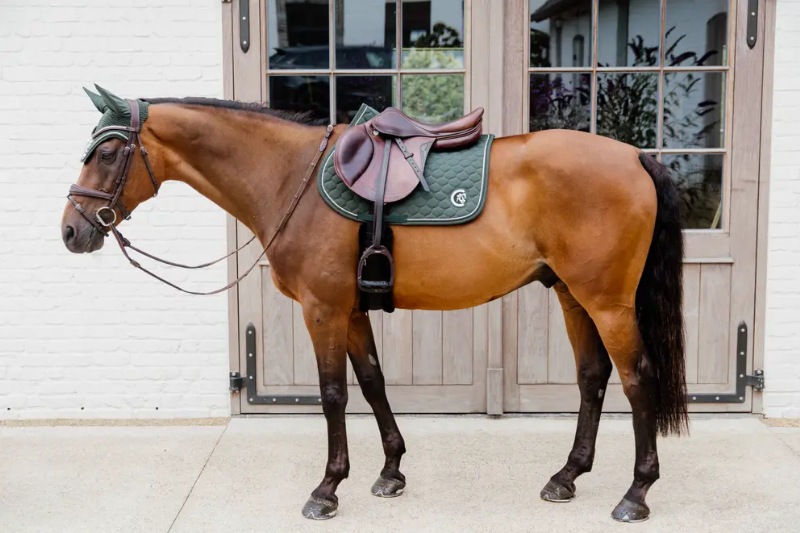 ケンタッキーJumpゼッケン3D Logo