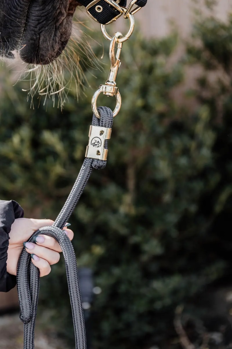 ケンタッキー リードロープ｜乗馬用品なら中江物産通販サイト