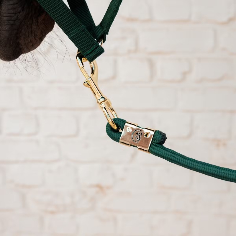 ケンタッキー リードロープ