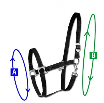 ディオン　T&Gレザーホルター