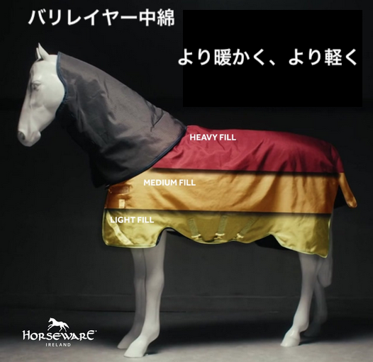 リノプラスターンアウトVL 450g