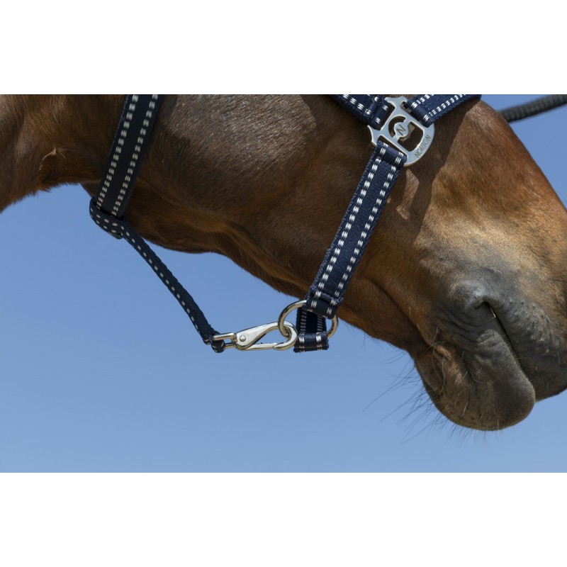 ポニー用 グルーミングホルター