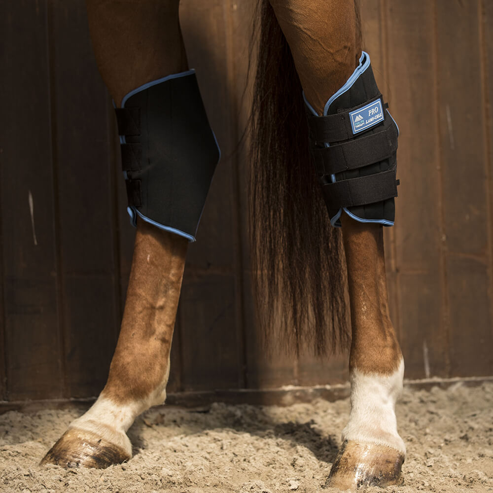 ラミセル　クーリングセラピー アイスホックブーツ