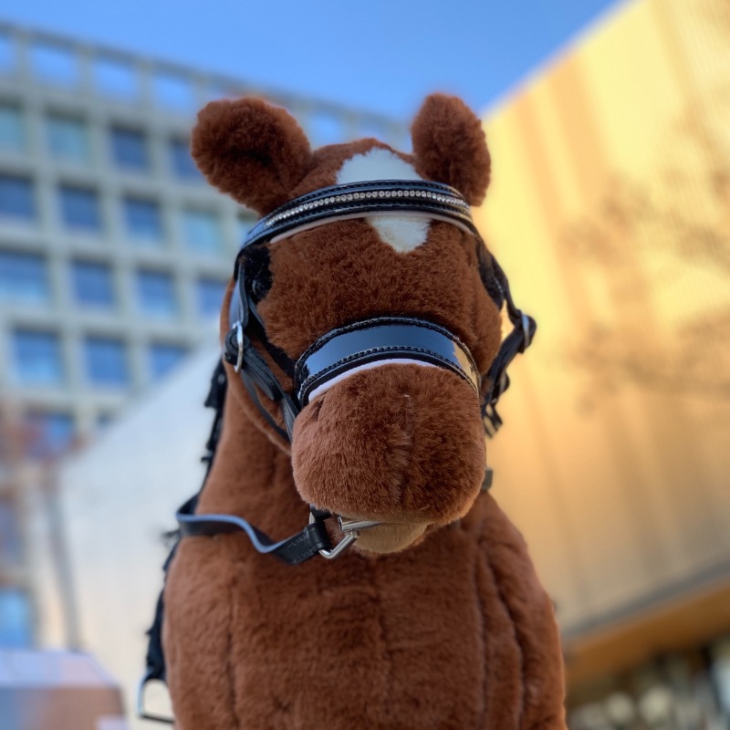 Web限定】PONY ACADEMY ミニポニーぬいぐるみ＆アクセサリーセット