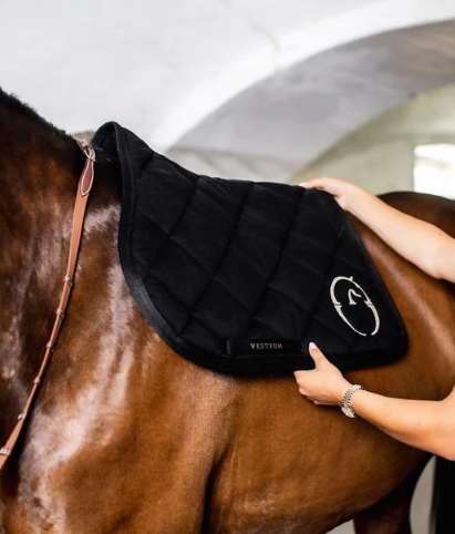 ヴェストラム 障害用ゼッケン BONN