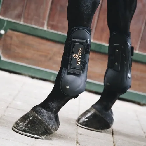 ケンタッキーD3O AIRテンドンブーツ（前肢）｜乗馬用品・馬具なら中江 
