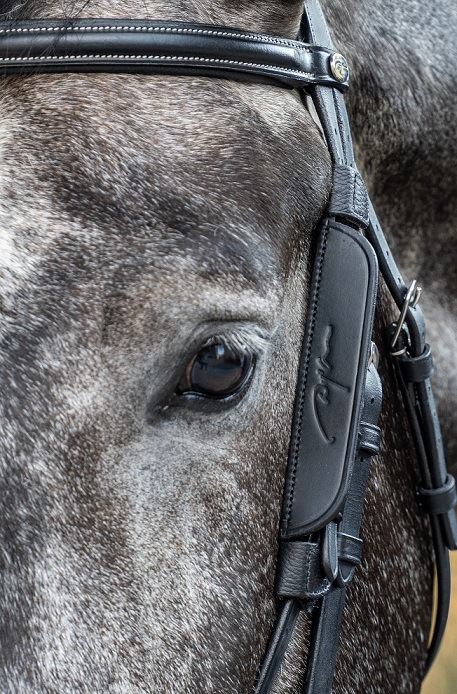 ディオン フォーカスチーク