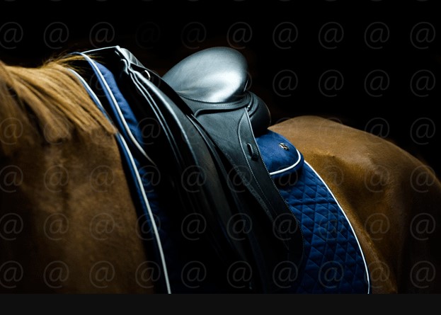 オギルヴィー サドルパッド スタンダード　1.25