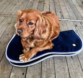 オギルヴィー サドルパッド スタンダード　1.25